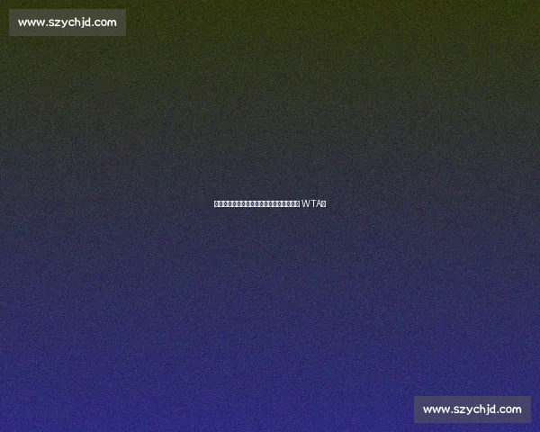 郑钦文创历史新高稳居前五，中国金花闪耀 WTA！