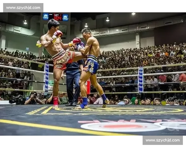 拳王皮特vs托尼巅峰对决：荣耀之战引爆全球拳坛传奇宿命再续夜战