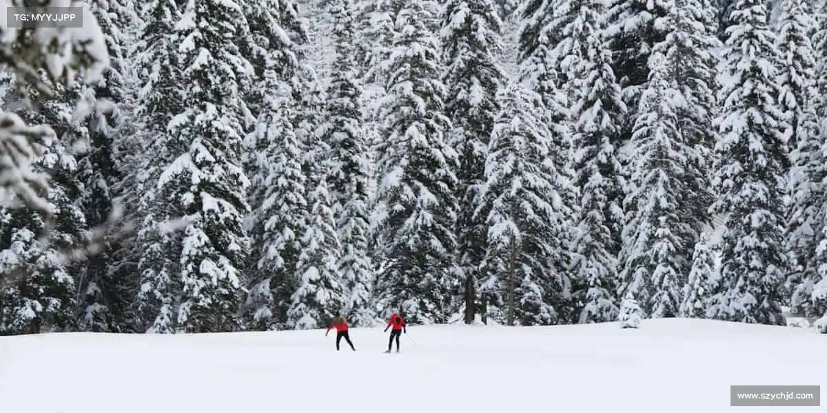 星空娱乐球场上的默契配合，是团队最燃的高光时刻⚽